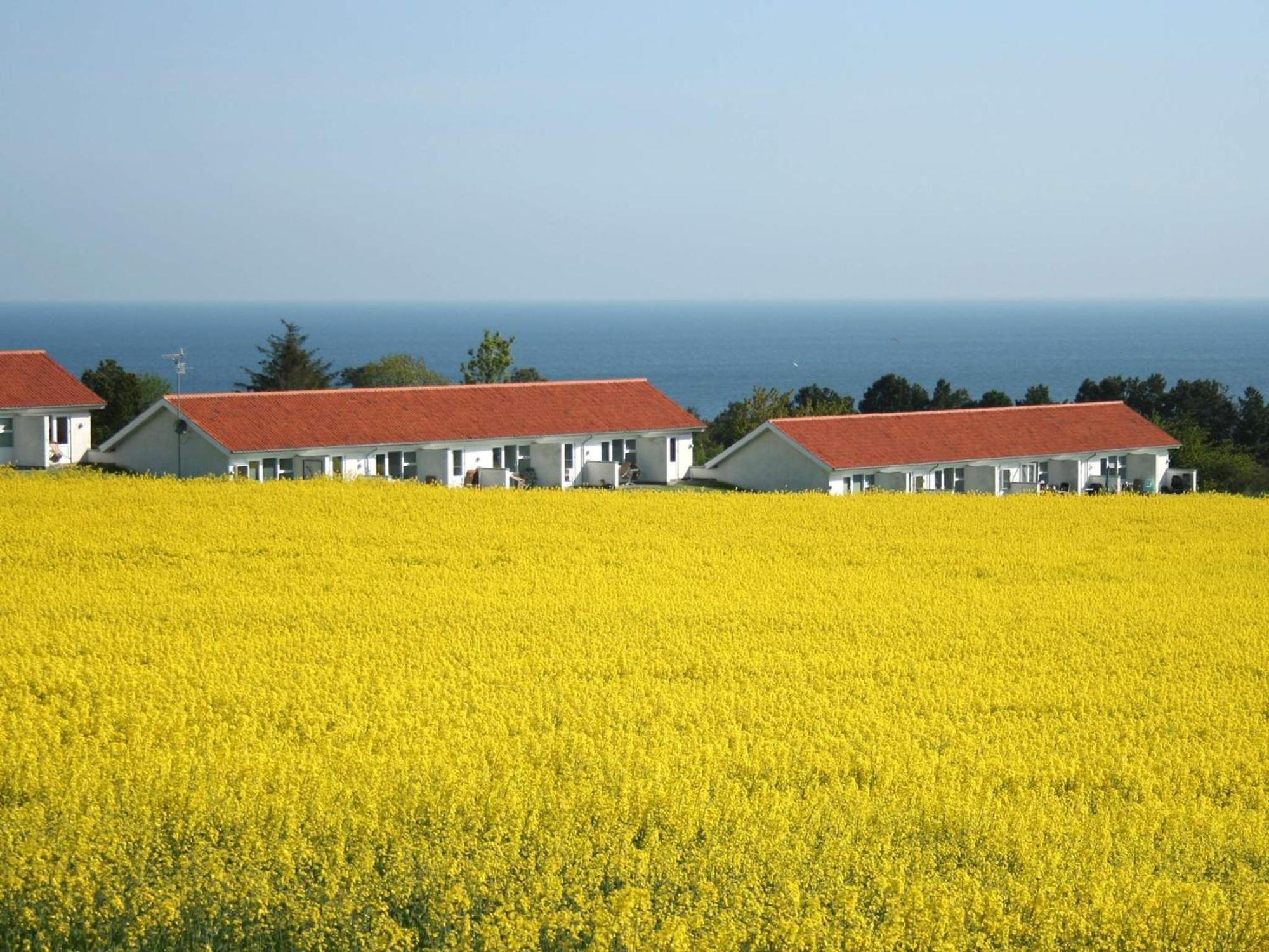 2 Person Holiday Home In Allinge Exterior foto